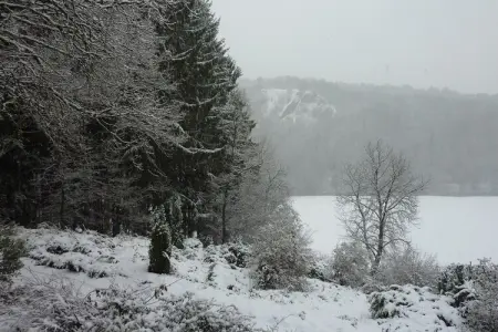 Domaine De L'Ecureuil 3, Escapade douillette à Bohon - Photo 16