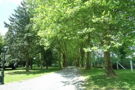 Domaine De L'Ecureuil 3, Escapade douillette à Bohon - Photo 18