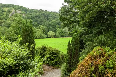 Domaine De L'Ecureuil 5, Séjour paisible en pleine nature à Bohon - Photo 21
