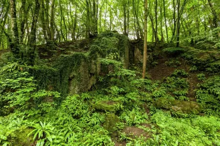 Domaine De L'Ecureuil 5, Séjour paisible en pleine nature à Bohon - Photo 38