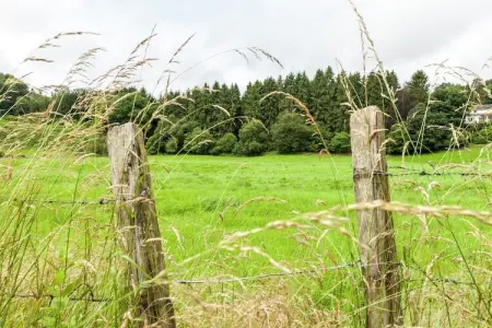 Domaine De L'Ecureuil 4, Gîte près de la forêt de Durbuy - Photo 13