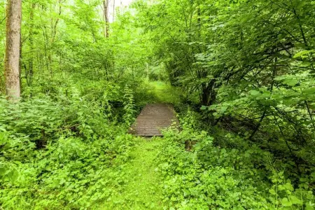 Domaine De L'Ecureuil 4, Gîte près de la forêt de Durbuy - Photo 15