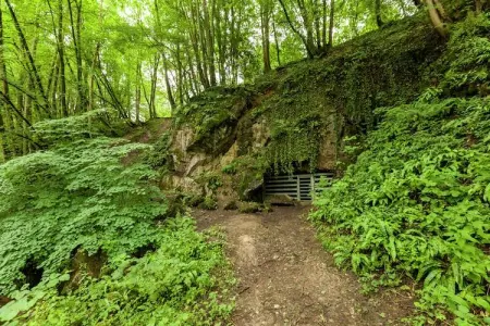 Domaine De L'Ecureuil 4, Gîte près de la forêt de Durbuy - Photo 17