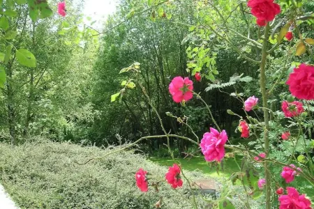 Domaine De L'Ecureuil 4, Gîte près de la forêt de Durbuy - Photo 29