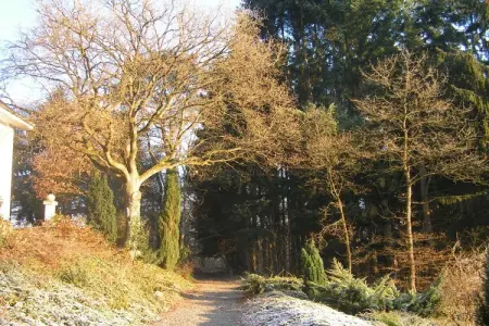 Domaine De L'Ecureuil 4, Gîte près de la forêt de Durbuy - Photo 30