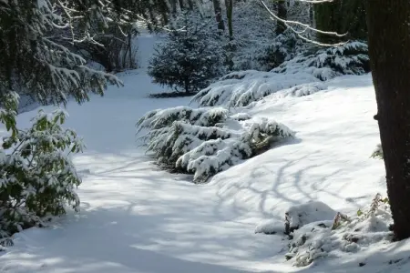 Domaine De L'Ecureuil 4, Gîte près de la forêt de Durbuy - Photo 31
