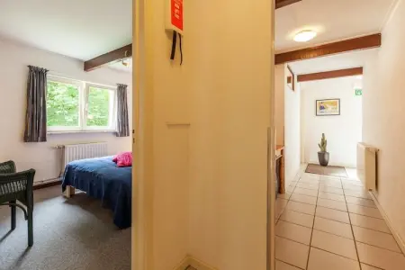 Trou de Reinard- Domaine Ecureuil, Gîte Forestier à Durbuy - Photo 13