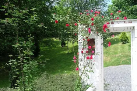 Trou de Reinard- Domaine Ecureuil, Gîte Forestier à Durbuy - Photo 33