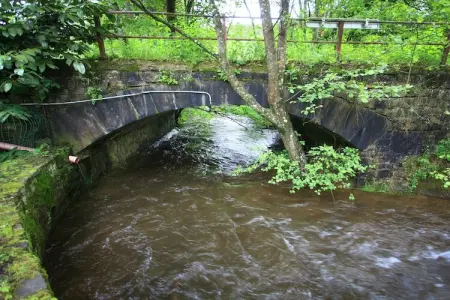 Les Epilobes, Forest Escape, Luxembourg - Photo 36