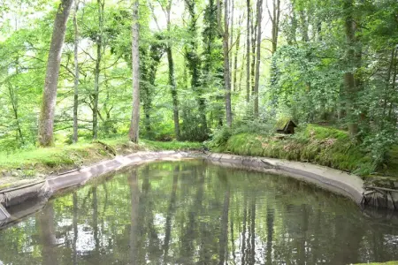 Le Moulin Sylvestre, Gîte au coeur des bois ardennais - Photo 19