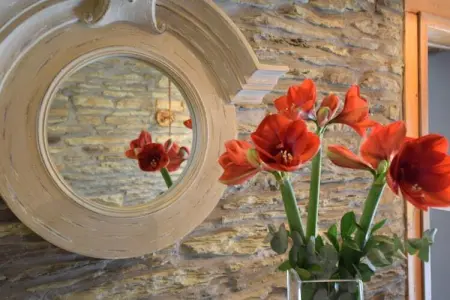 Le Clos Bagatelle, Maison à Tenneville avec Sauna Privé - Photo 37