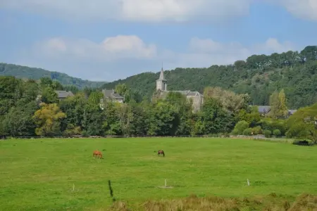 Vakantiepark La Boverie 1, Bungalow en Belgique près des collines vertes - Photo 16