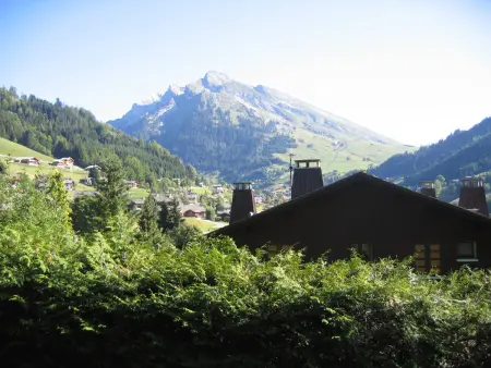 Duplex 2 chambres avec cheminée, garage et terrasse - La Clusaz, proche des pistes, WIFI inclus - Photo 13