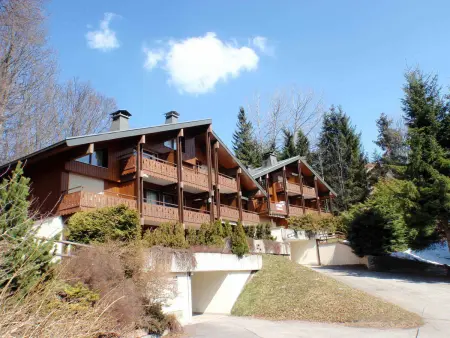 Duplex 2 chambres avec cheminée, garage et terrasse - La Clusaz, proche des pistes, WIFI inclus - Photo 14