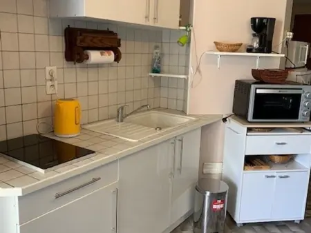 Appartement 1 chambre proche des Thermes - Animaux admis - Photo 4