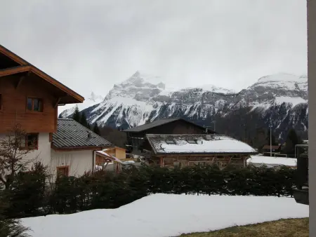 3 pièces cosy : Jardin, Wifi, Parking, 700m des pistes, 50m des commerces - Photo 8