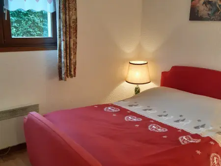 T2 rez-de-jardin Chamonix avec parking et vue Mont Blanc - Photo 6