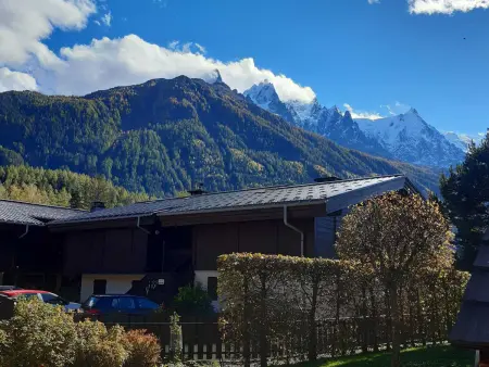 T2 rez-de-jardin Chamonix avec parking et vue Mont Blanc - Photo 8