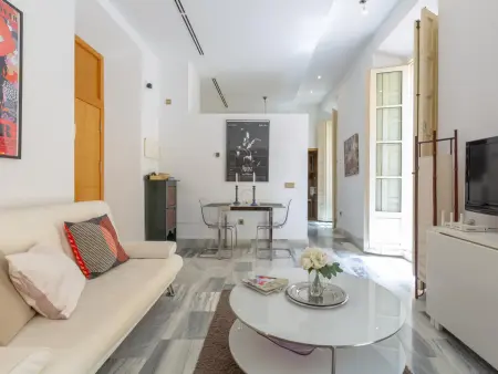 Appartement dans bâtiment historique avec tout confort, Malaga centre - Photo 4