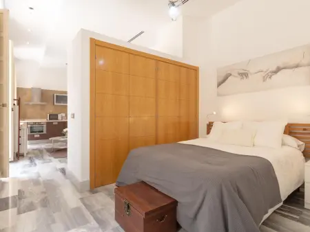 Appartement dans bâtiment historique avec tout confort, Malaga centre - Photo 15