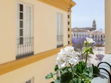 Appartement dans bâtiment historique avec tout confort, Malaga centre - Photo 21