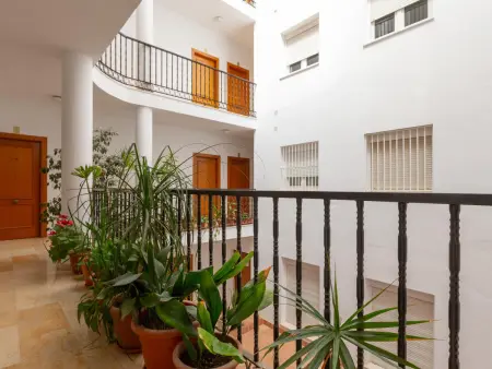 Appartement lumineux avec patio, au cœur de Malaga, près de la Plaza de Uncibay et du musée Picasso. - Photo 24