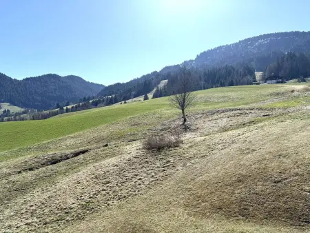 Appartement 2 pièces à Praz Sur Arly, parking, proche pistes, pour 5 personnes - Photo 16