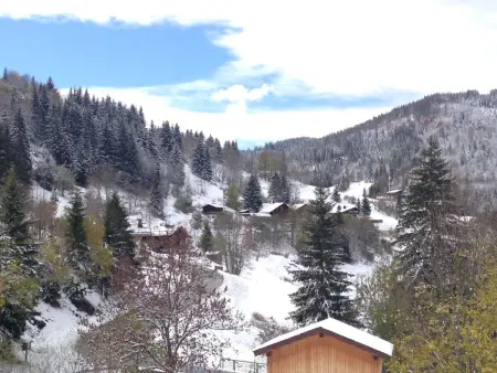 Appartement avec terrasse pour 6 personnes proche pistes à La Clusaz - Photo 9