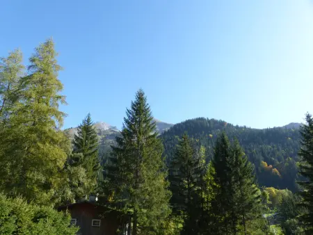 Appartement 3 chambres avec cheminée, terrasse et parking à La Clusaz - Photo 14