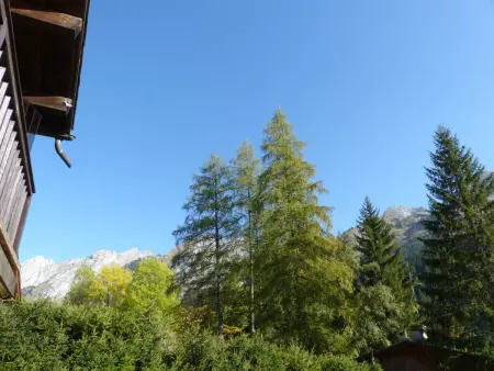Appartement 3 chambres avec cheminée, terrasse et parking à La Clusaz - Photo 15