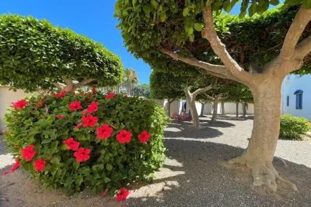 Residencial Hibiscus 408, Séjour élégant en appartement près de la mer - Photo 36