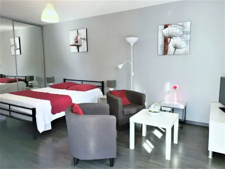 T1 lumineux avec terrasse et parking privé à Aix-les-Bains - Photo 2