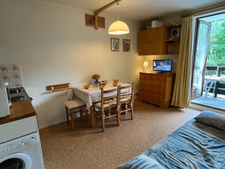 Studio confortable à Samoëns avec parking et animaux acceptés - Photo 1