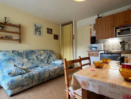 Studio confortable à Samoëns avec parking et animaux acceptés - Photo 2
