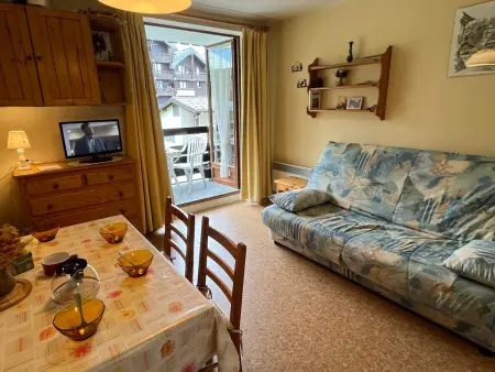 Studio confortable à Samoëns avec parking et animaux acceptés - Photo 9