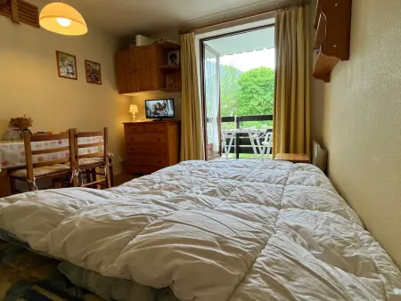 Studio confortable à Samoëns avec parking et animaux acceptés - Photo 11