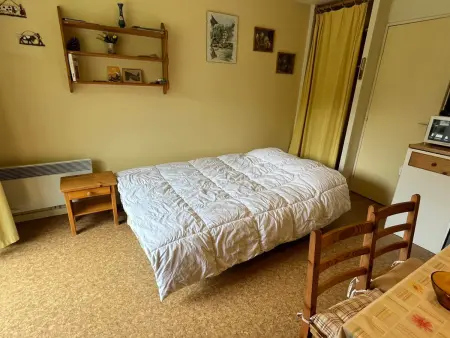 Studio confortable à Samoëns avec parking et animaux acceptés - Photo 12