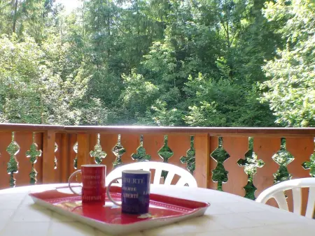 Appartement cosy pour 4 personnes avec piscine et sauna, proche centre et domaine skiable à Samoëns - Photo 6