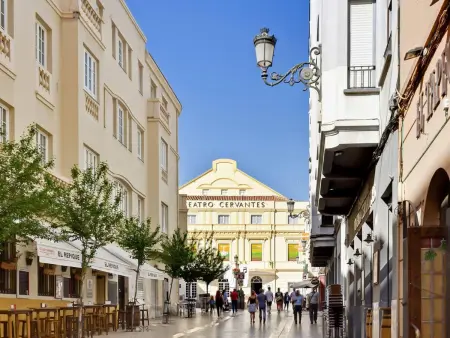 Magnifique duplex avec terrasse au centre de Malaga - Photo 23