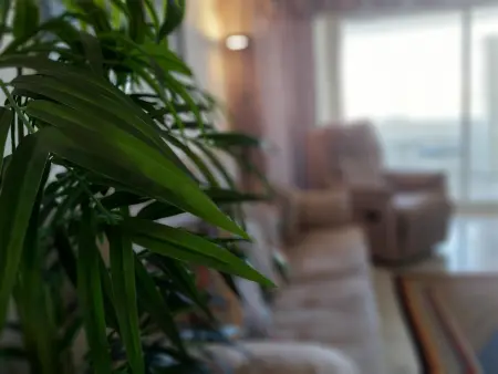Appartements spacieux avec piscine et climatisation à Benalmádena - Photo 4