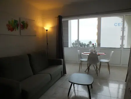Appartement confort, 50m plage, 4 pers, terrasse, TV, lave-linge - Photo 11