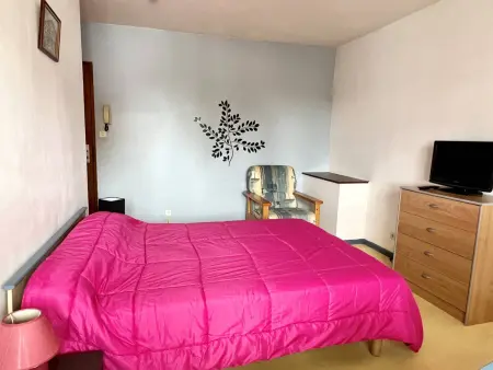 Studio cosy à Cambo-les-Bains avec parking, Appartement 2 personnes à Cambo les Bains - Photo 5