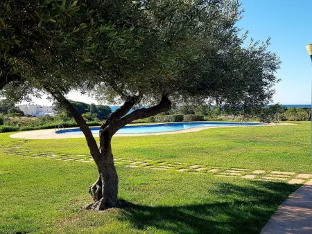 Appartement RDC en 1ère ligne avec Jardin et Piscine à 100m de la Plage - Photo 4