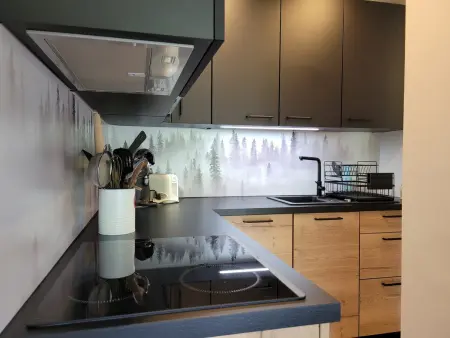 Studio spacieux rénové proche pistes avec balcon, WiFi inclus, pour 4 personnes à Pra Loup - Photo 7