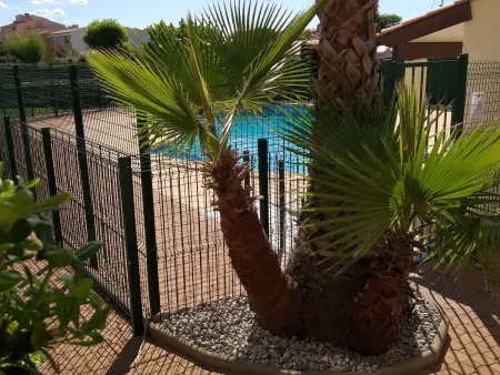 T2 Climatisé Proche Plage avec Piscine et Parking - Photo 25