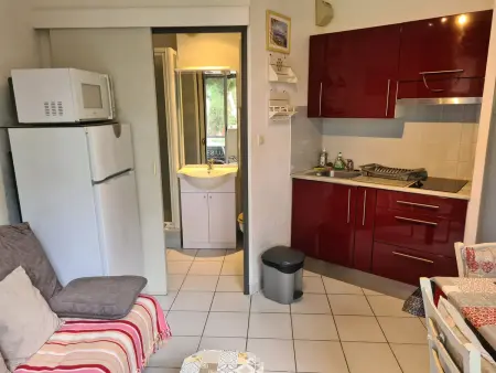 Petit T2 avec balcon, animaux admis, climatisation - Photo 1