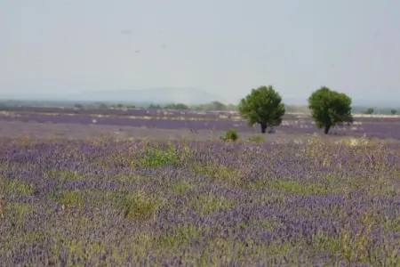 Résidence La Licorne de Haute-Provence 4, Appartement à Gréoux-Les-Bains près des lacs - Photo 12