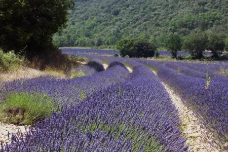 Résidence La Licorne de Haute-Provence 4, Appartement à Gréoux-Les-Bains près des lacs - Photo 14