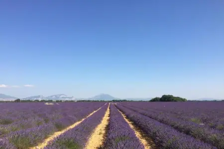 Résidence La Licorne de Haute-Provence 5, Appartement à Gréoux-Les-Bains près des lacs - Photo 25