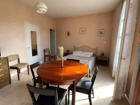 Spacieux studio centre-ville, animaux acceptés, Appartement 2 personnes à Aix les Bains - Photo 6